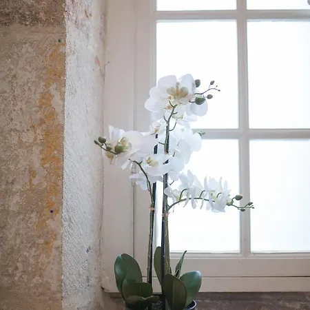 Appartement La Tonnellerie