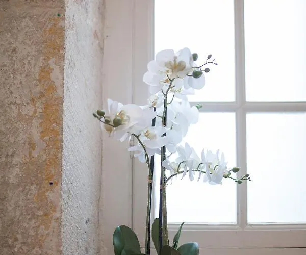 Apartment La Tonnellerie